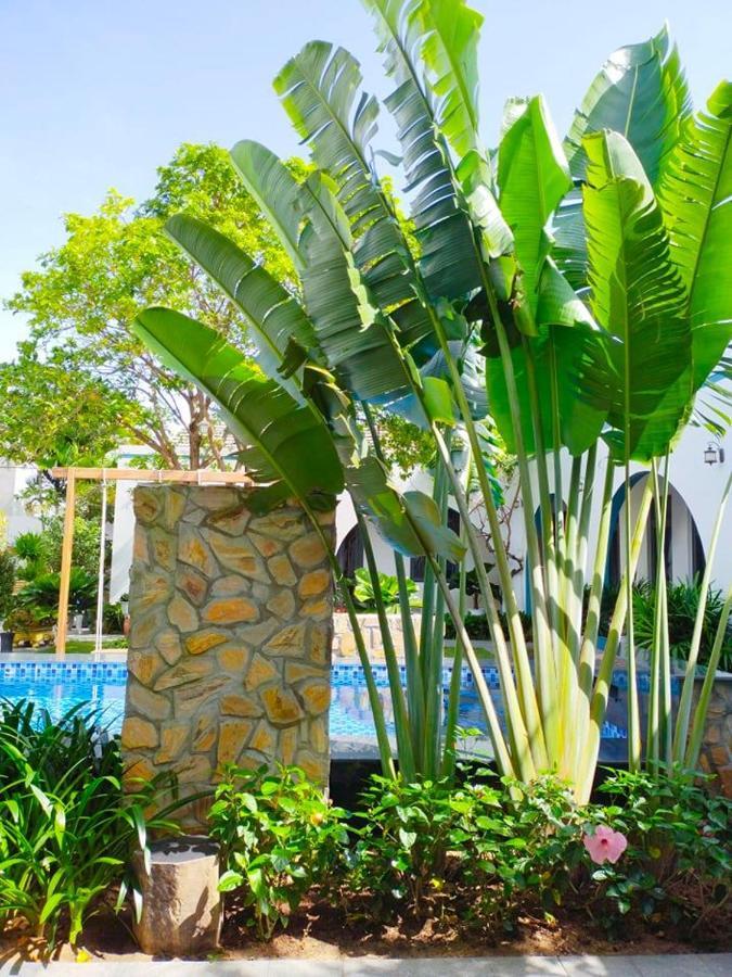 TROPICAL HOMESTAY PHÚ YÊN TUY HOÀ (Việt Nam) - từ VND 333333 | HOTELMIX